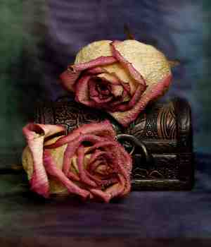 યાદ છે મને