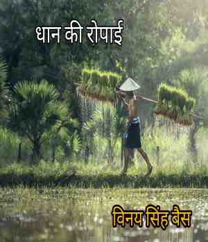 धान की रोपाई