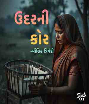ઉદરની કોર