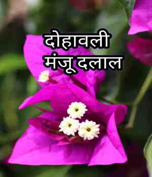 दोहावली
