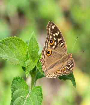 चांगले विचार व चांगला स्वभाव आवश्यक