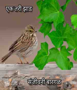 एक तरी झाड