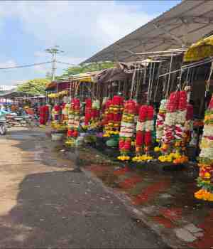 सार्थक व्हावे जन्माचे