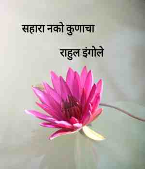 सहारा नको कुणाचा