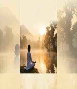 ध्यान का, कशासाठी, कसे, कुणी करावे? विद्यावाचस्पती चन्द्रहास शास्त्री सोनपेठकर