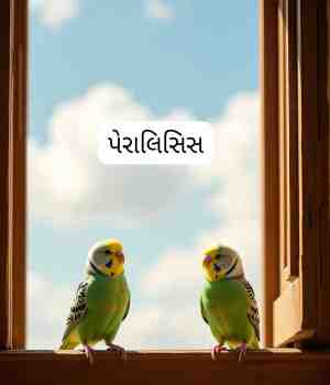 પેરાલિસિસ