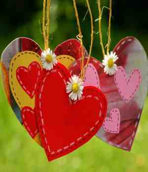 मैत्रीचा सुगंध