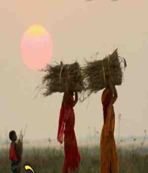 मावळतीचा सूर्य