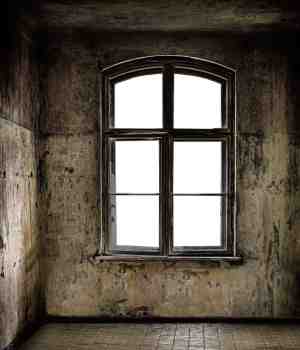 पत्थर का फूल