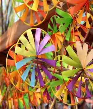 फेरी वाला