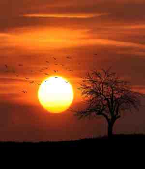 बदलता परिवेश