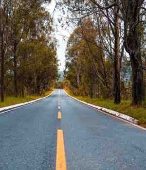 यात्रा एक कटू आठवण