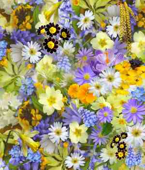 सौंदर्य (दोहे) काल्पनिक