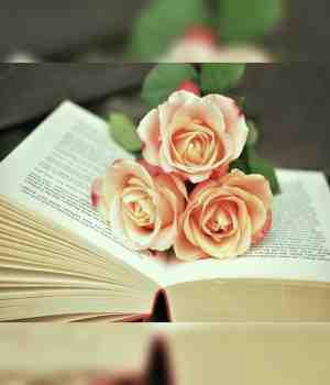 पुस्तक दिना निमित्ताने