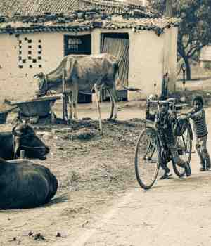 स्वप्नामधील गाव