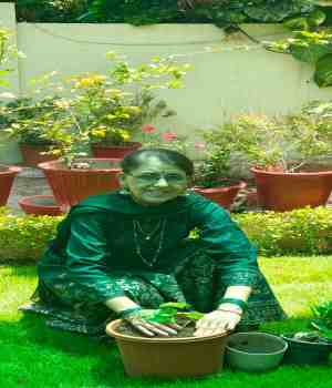 मेरा वृक्ष मेरा परिवार