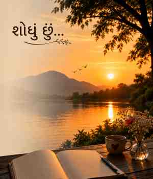 શોધું છું
