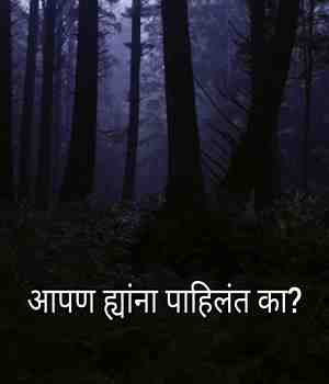 आपण ह्यांना पाहिलंत का?