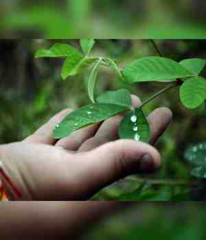 पानी बचाएं, कल सुरक्षित करें