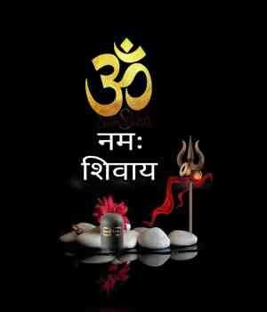 ओम नमः शिवाय: अंत:करणाला शांती देणारा महामंत्र