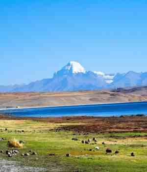 माझी कैलास मानस यात्रा