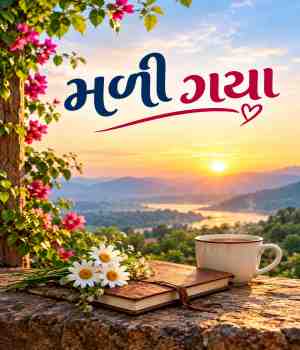 મળી ગયા