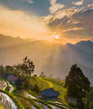 बुद्धी का दिव्य प्रकाश